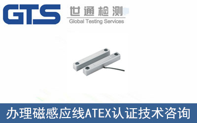 �ŸБ���ATEX�J�C