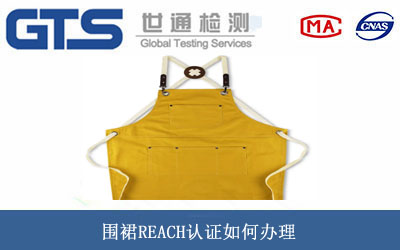 ��ȹREACH�J�C